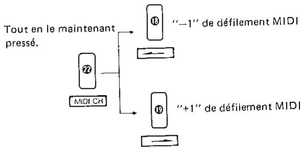 ROLAND MSQ-100 - Défilement de canal MIDI - 4