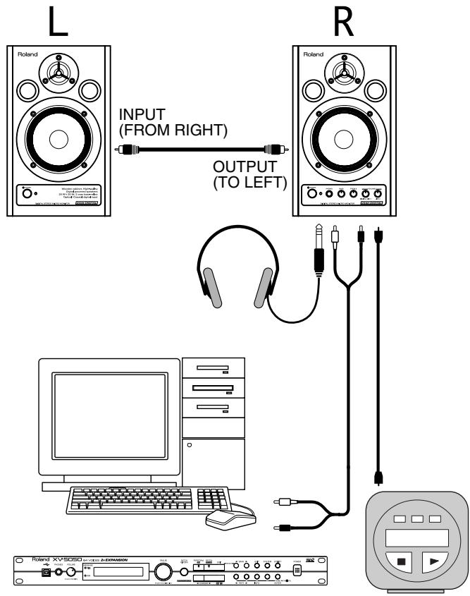 ROLAND DM-20 - Connection Example - 1