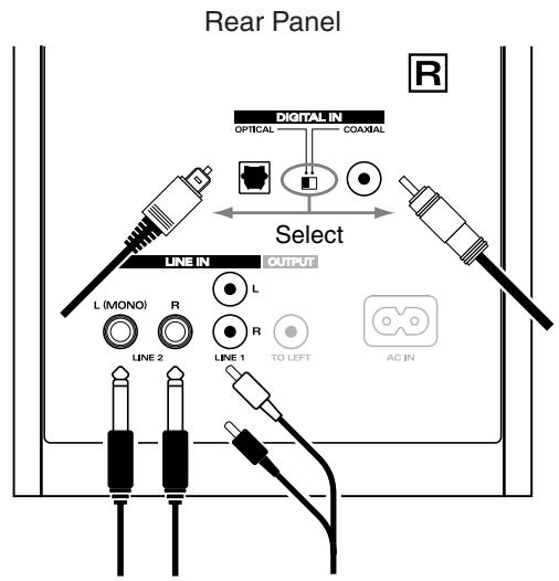 ROLAND DM-20 - Connection Example - 2