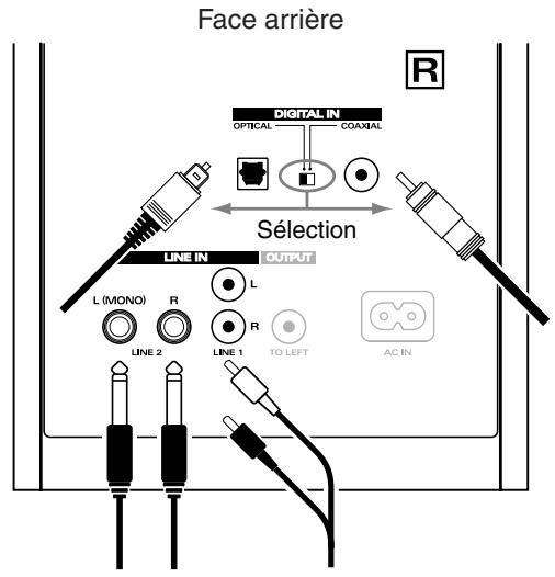 ROLAND DM-20 - Exemple de connexion - 1