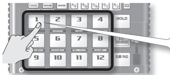 ROLAND SP-404SX - Appuyez sur une touche pour écouter son sample. - 1