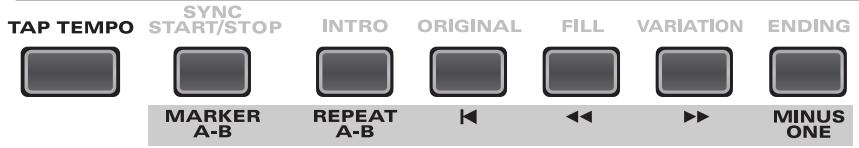 ROLAND EXR-5S - Reproduire des morceaux - 2
