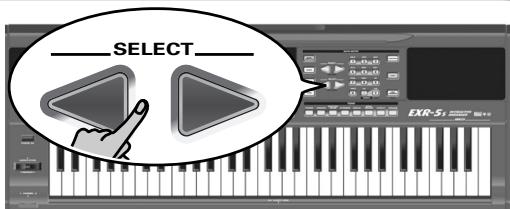 ROLAND EXR-5S - Sélection de styles musicaux - 3