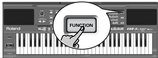 ROLAND EXR-5S - Enregistrement Punch I/O avec un commutateur au pied - 1
