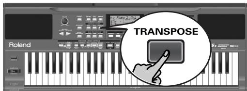 ROLAND EXR-5S - Effets sonores ("SFX") - 2