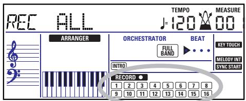 ROLAND EXR-5S - Toujours à propos du mode ALL - 1