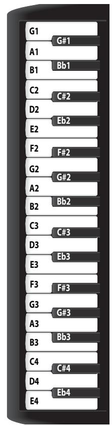G1 G#1 A1 B1 Bb1 C2 C#2 D2 Eb2 E2 F#2 F2 G#2 G2 G#2 A2 B2 Bb2 C3 C#3 D3 Eb3 E3 F#3 F3 G#3 G3 A3 Bb3 C4 C#4 D4 Eb4 E4