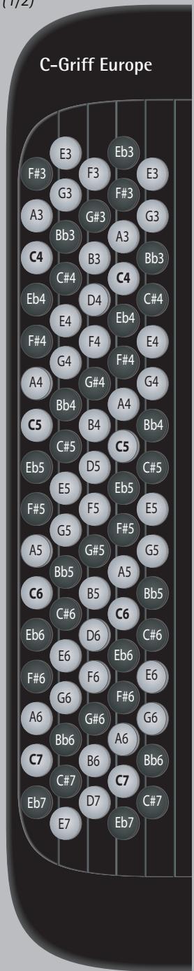 ROLAND FR-2B - Mode basse & accords - 3