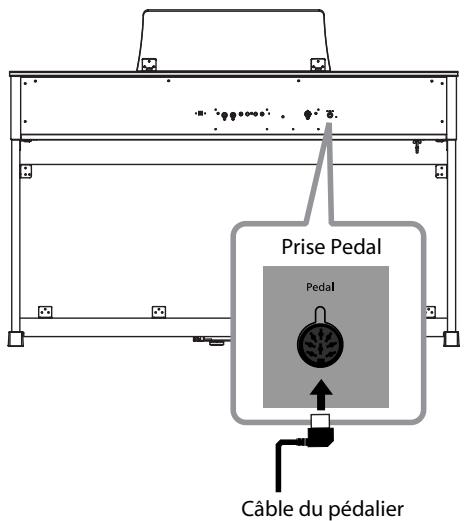 ROLAND HP305-RW - Connexion du câble du pédalier (HP302) - 1