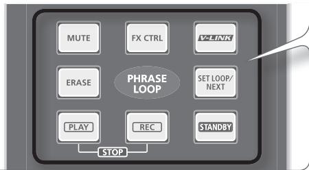MUTE FX CTRL VLINK ERASE PHRASE LOOP SET LOOP/ NEXT PLAY REC STANDBY STOP
