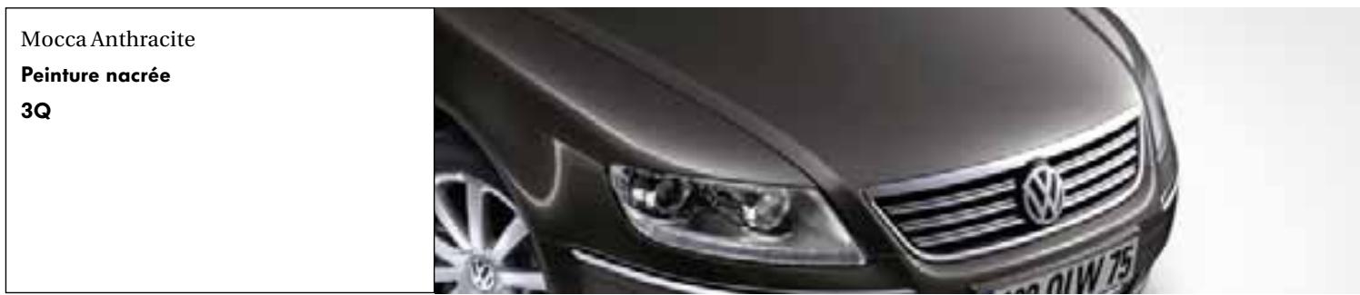VOLKSWAGEN PHAETON - Les peintures. - 9