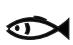 HOOVER HOS 558 - AUTOMATISCHE FUNCTIONS - 2