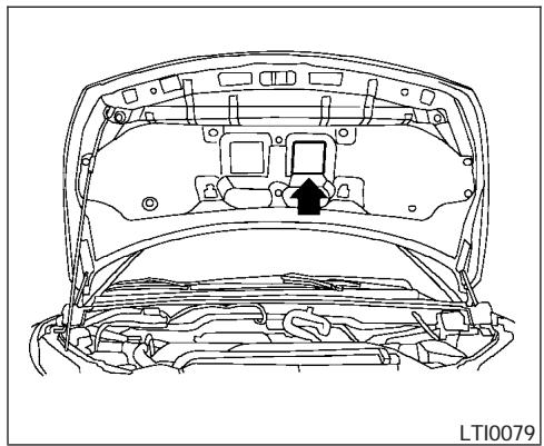 NISSAN QUEST 2006 - NUMERO D'IDENTIFICATION DU VEHICULE (numéro du chassin) - 3
