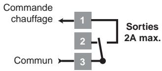 DELTA DORE D10L - Raccordement (1) - 1