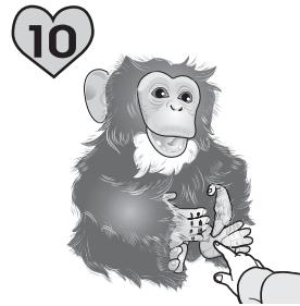 HASBRO CHIMPA - Comment nettoyer la fourrure de TON PETIT COCHON - 10