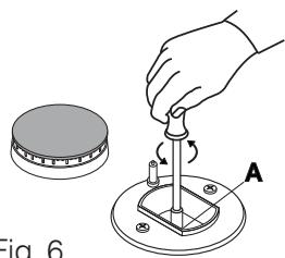 Fig. 6