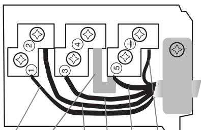 SCHOLTES TRM 631 O L - Altri tipi di collegamento - 1