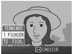 TERMINER 1 FICHIER TS FICH. OK CHOISIR