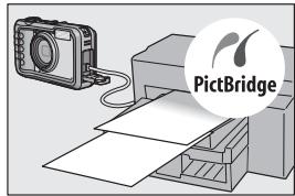 PictBridge