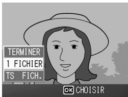 TERMINER 1 FICHIER TS FICH. OH CHOISIR