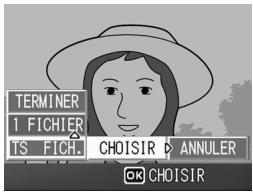 TERMINER 1 FICHER 'IS FICH. CHOISIR ANNULER OK CHOISIR