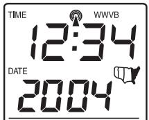 LA CROSSE TECHNOLOGY WS-7394TWC-IT - Ajuste Manual del Año - 1
