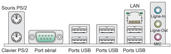 MSI MS-7615 V2.0 - PANNEAU ARRIÈRE - 1