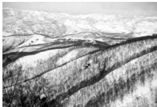KONICA MINOLTA DIMAGE SCAN ELITE 5400 II - Palette de luminosité, contraste et balance des couleurs - 4