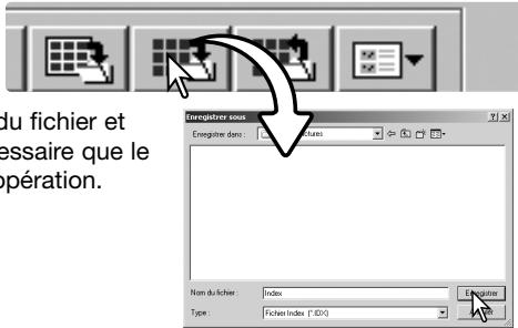 KONICA MINOLTA DIMAGE SCAN DUAL IV - Enregistrement d'un fichier-index - 1