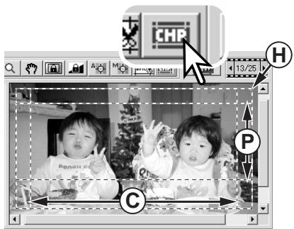 KONICA MINOLTA DIMAGE SCAN DUAL IV - Bouton CHP (films APS uniqueness) - 1