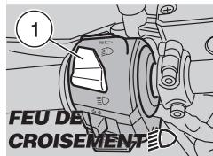 APRILIA ETV MILLE CAPONORD ABS - DANGER - 2