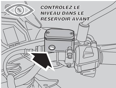 APRILIA ETV MILLE CAPONORD ABS - DANGER - 3