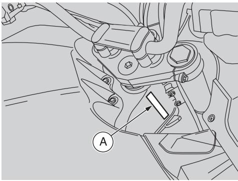 APRILIA ETV MILLE CAPONORD ABS - Symptoms: - 1
