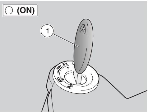 APRILIA ETV MILLE CAPONORD ABS - ATTENTION - 1