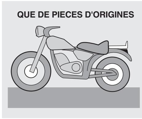 APRILIA ETV MILLE CAPONORD ABS - DANGER - 2