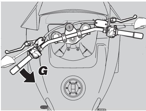 APRILIA ETV MILLE CAPONORD ABS - DANGER - 3