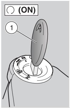 APRILIA ETV MILLE CAPONORD ABS - ATTENTION - 1