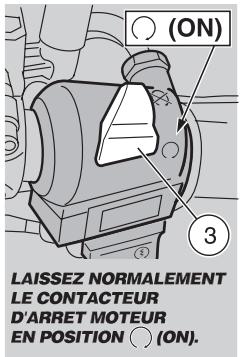 APRILIA ETV MILLE CAPONORD ABS - DANGER - 2
