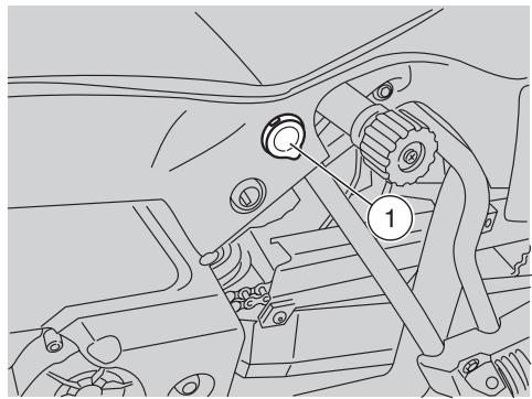 APRILIA ETV MILLE CAPONORD ABS - DANGER - 1