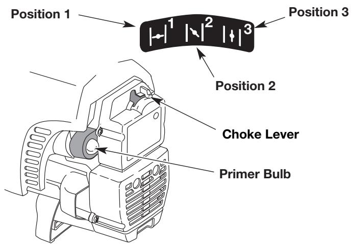 MTD BV3100 - STARTING INSTRUCTIONS - 3