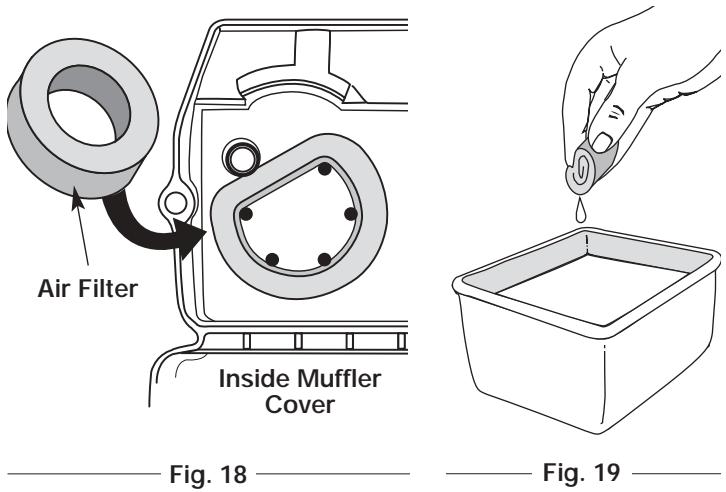 MTD MB320BV - Cleaning the Air Filter - 1