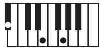 KORG PA50SD - Clé/accord - 6