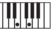 KORG PA50SD - Clé/accord - 2
