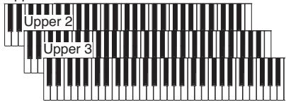 KORG PA50SD - JOUER sur le clavier - 3