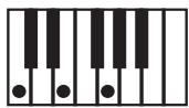 KORG PA50SD - Clé/accord - 1