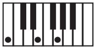 KORG PA50SD - Clé/accord - 3