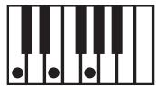 KORG PA50SD - Clé/accord - 4
