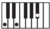 KORG PA50SD - Clé/accord - 5