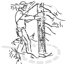 JONSERED CS 2245 - Émondage des branches basses et voie de retraite - 1