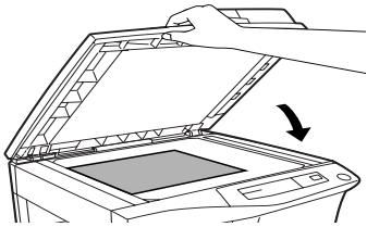 OLIVETTI COPIA 9915D - Reproduction normale - 7